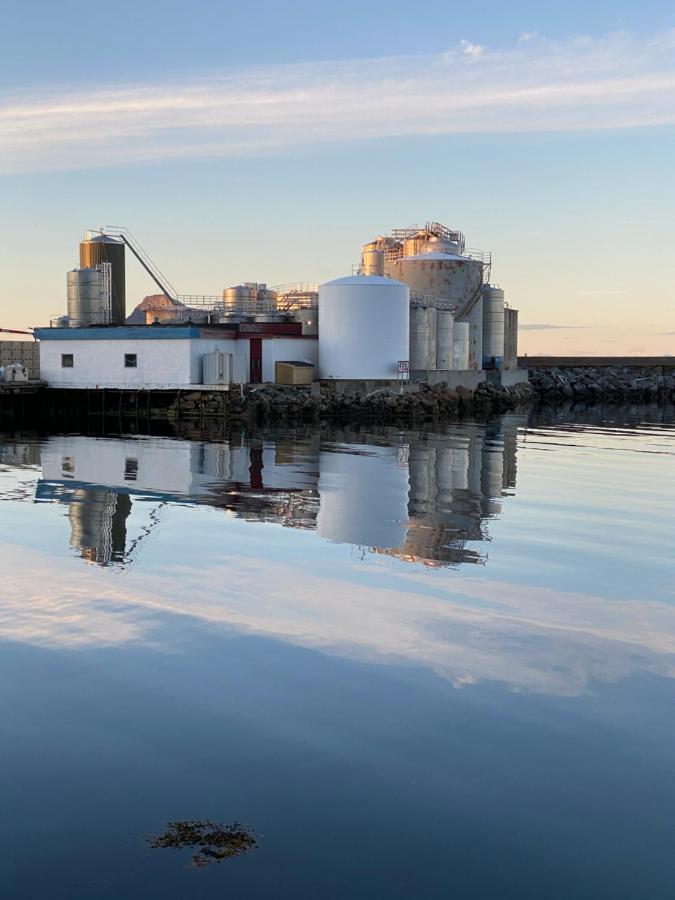 Nordlandshuset "Lottebakken", Ballstad In Lofoten エクステリア 写真