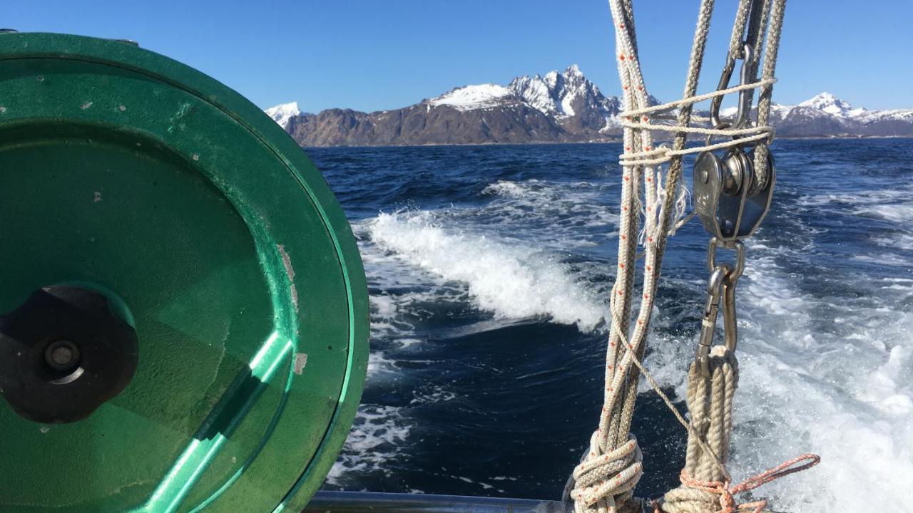 Nordlandshuset "Lottebakken", Ballstad In Lofoten エクステリア 写真