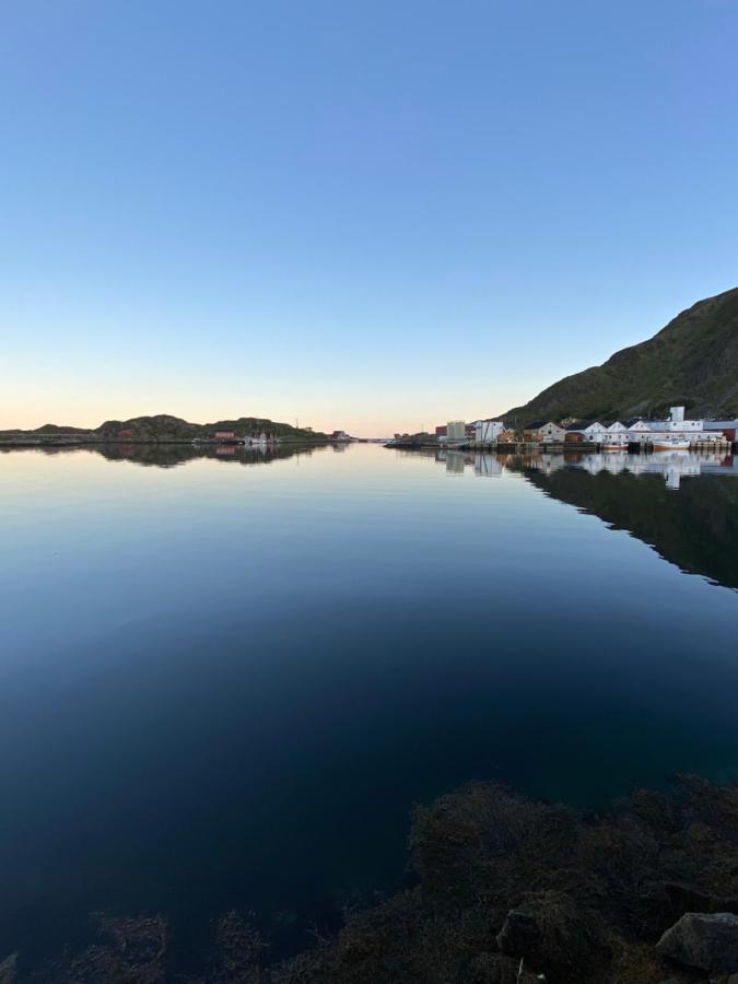 Nordlandshuset "Lottebakken", Ballstad In Lofoten エクステリア 写真