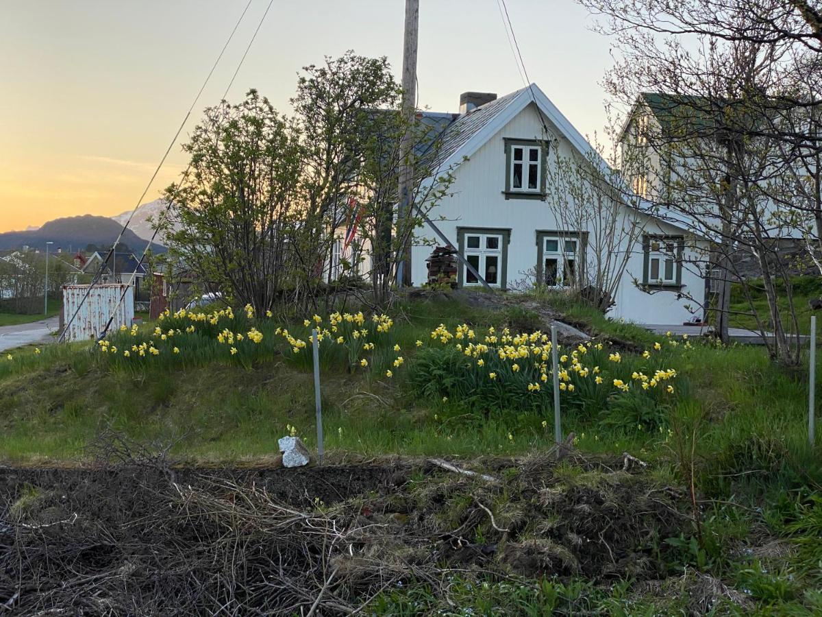 Nordlandshuset "Lottebakken", Ballstad In Lofoten エクステリア 写真